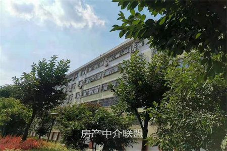 城北星尚城4室2厅2卫好楼层飞机户型证满两年